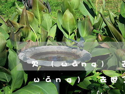 欠網(wǎng)貸去世了要不要還(欠網(wǎng)貸去世了要不要還)