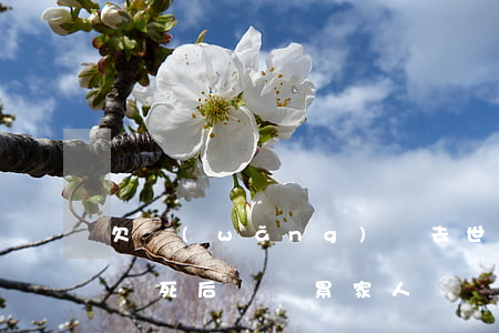 欠網(wǎng)貸去世(欠網(wǎng)貸死后會連累家人嗎)