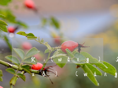 欠網(wǎng)貸又不敢跟家里說(shuō)(網(wǎng)貸越欠越多不敢跟家人說(shuō))