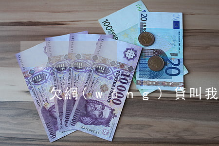 欠網(wǎng)貸叫我去公安局拘留