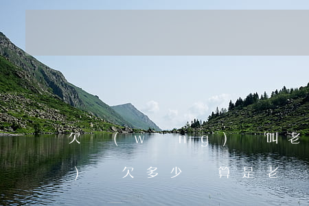 欠網(wǎng)貸叫老賴么(網(wǎng)貸欠多少錢算是老賴)