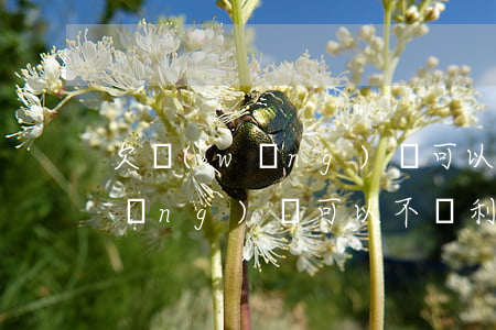 欠網(wǎng)貸可以不還利息嗎(網(wǎng)貸可以不還利息么)