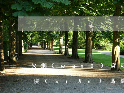 欠網(wǎng)貸可以交醫(yī)療保險(xiǎn)嗎(網(wǎng)貸逾期會(huì)影響社保醫(yī)保嗎)
