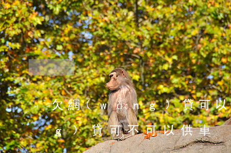 欠網(wǎng)貸可以供車(欠網(wǎng)貸可不可以供車)