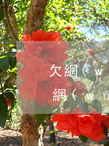 欠網(wǎng)貸可以公積金買房嗎(欠了網(wǎng)貸能買房嗎)