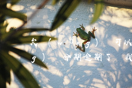 欠網(wǎng)貸可以分期嗎(網(wǎng)貸分期逾期了讓我把所有欠款還清)