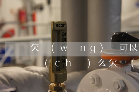 欠網(wǎng)貸可以分期買(mǎi)車(chē)么(欠網(wǎng)貸能分期買(mǎi)車(chē)嗎)