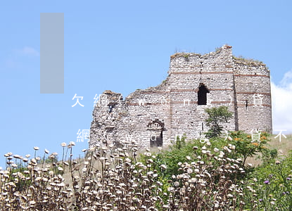 欠網(wǎng)貸可以協(xié)商不(網(wǎng)貸不支持協(xié)商還款)