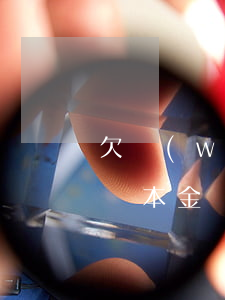 欠網(wǎng)貸可以協(xié)商只歸本金嗎(網(wǎng)貸不愿意協(xié)商還本金怎么辦)