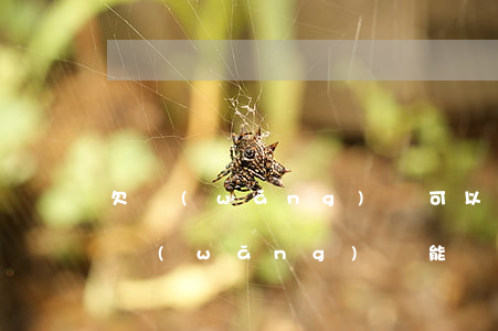 欠網(wǎng)貸可以去4s辦車貸嗎(欠網(wǎng)貸能辦車貸嗎)