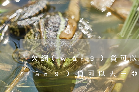 欠網(wǎng)貸可以去三亞嗎(欠網(wǎng)貸可以去三亞嗎)
