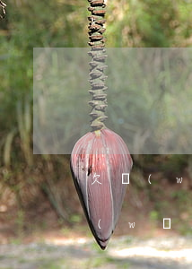 欠網(wǎng)貸可以去工廠打工嗎(欠網(wǎng)貸可以去工廠打工嗎)