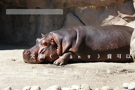 欠網(wǎng)貸可以去香港嗎(香港電話打過(guò)來(lái)說(shuō)我欠網(wǎng)貸了)