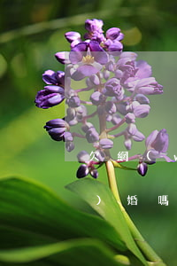 欠網(wǎng)貸可以和軍人結(jié)婚嗎(欠網(wǎng)貸什么的可以去參軍嗎)