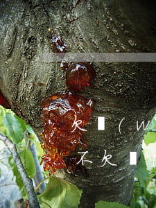 欠網(wǎng)貸可以坐客車(chē)不(欠網(wǎng)貸能坐火車(chē)嗎)