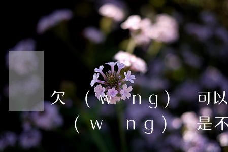 欠網(wǎng)貸可以坐高鐵一等座嗎(欠網(wǎng)貸是不是不能坐飛機(jī)高鐵)