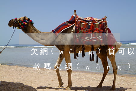 欠網(wǎng)貸可以報(bào)警還款嗎(欠網(wǎng)貸可以報(bào)警還款嗎)