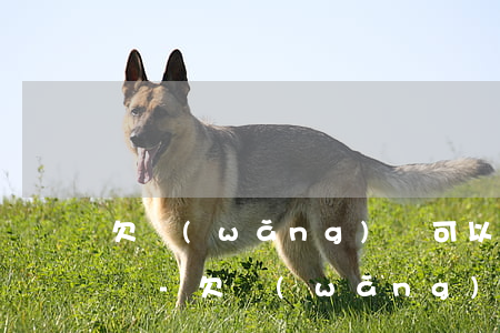 欠網(wǎng)貸可以委托律師延期一年嗎-欠網(wǎng)貸可以委托律師延期一年嗎知乎