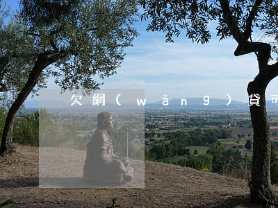 欠網(wǎng)貸可以學駕照嗎
