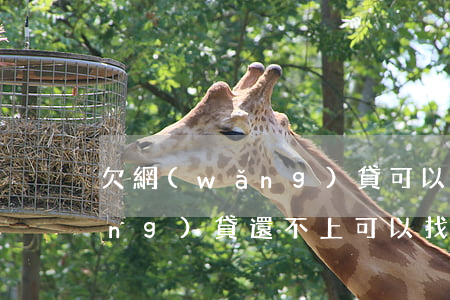 欠網(wǎng)貸可以找律師嘛(網(wǎng)貸還不上可以找律師嗎)