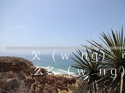 欠網(wǎng)貸可以拍抖音嗎(為什么那么多網(wǎng)貸出現(xiàn)在抖音里面)