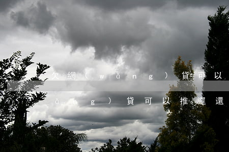 欠網(wǎng)貸可以推遲還嗎(欠網(wǎng)貸可以推遲還嗎)