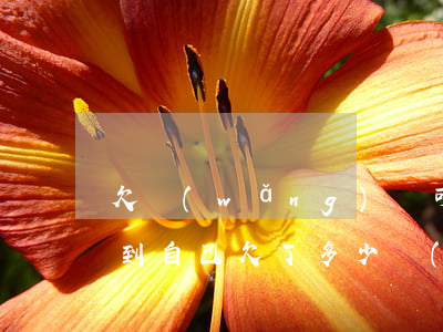 欠網(wǎng)貸可以查到嗎(哪里可以查到自己欠了多少網(wǎng)貸)
