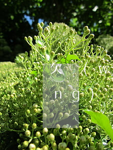 欠網(wǎng)貸可以炒期貨嗎(網(wǎng)貸炒期貨輸了80萬(wàn))
