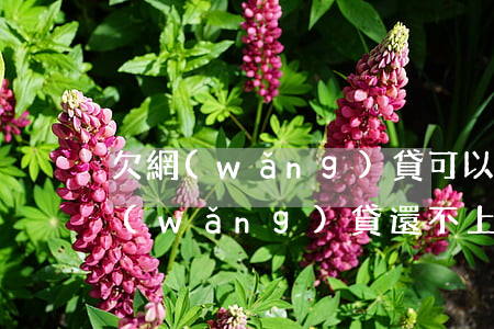 欠網(wǎng)貸可以用捷信嗎(欠捷信網(wǎng)貸還不上怎么辦會(huì)有哪些后果)