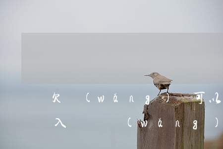 欠網(wǎng)貸可以申請(qǐng)入黨嗎(網(wǎng)貸有欠款影響入黨嗎)