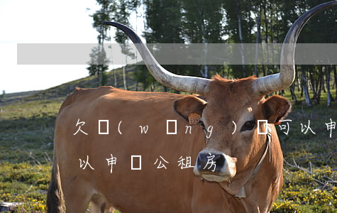 欠網(wǎng)貸可以申請公租房(欠債可以申請公租房)