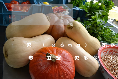 欠網(wǎng)貸可以網(wǎng)上申請立案嗎(欠多少網(wǎng)貸才能起訴立案)