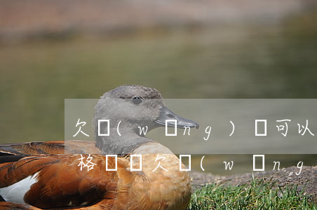 欠網(wǎng)貸可以考網(wǎng)格員嗎(欠網(wǎng)貸可以考網(wǎng)格員嗎)