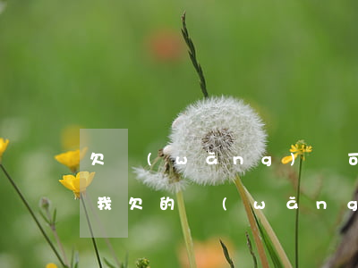 欠網(wǎng)貸可以讓家人幫忙貸款嗎(我欠的網(wǎng)貸會讓家里人還嗎)