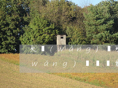 欠網(wǎng)貸可以貸款買車嗎(欠網(wǎng)貸買車能申請貸款嗎)