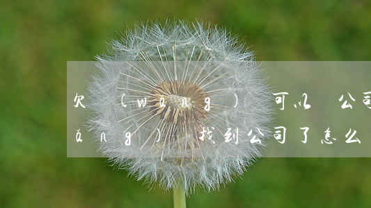 欠網(wǎng)貸可以辦公司嗎(欠網(wǎng)貸找到公司了怎么辦)