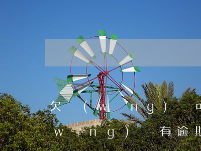 欠網(wǎng)貸可以辦捷信嗎(以前網(wǎng)貸有逾期能不能在捷信公司辦理貸款)