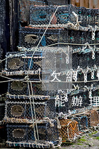 欠網(wǎng)貸可以辦暫住證嗎(暫住證能辦理貸款嗎?)