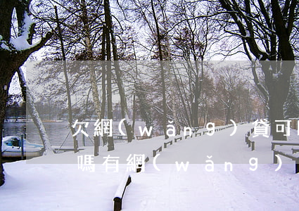 欠網(wǎng)貸可以辦車(chē)貸嗎(有網(wǎng)貸欠款能辦車(chē)貸嗎)