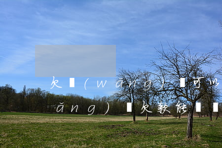 欠網(wǎng)貸可以辦車貸嗎(有網(wǎng)貸欠款能辦車貸嗎)