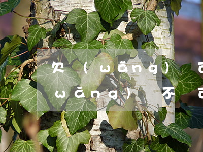 欠網(wǎng)貸 可以辦銀行卡嗎(欠網(wǎng)貸不還可以辦銀行卡嗎)