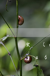 欠網(wǎng)貸可以進(jìn)國(guó)企嗎(欠網(wǎng)貸可以進(jìn)國(guó)企嗎)