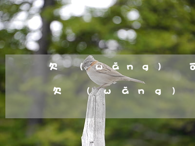 欠網(wǎng)貸可以進(jìn)廠嘛(欠網(wǎng)貸能開公司嗎)