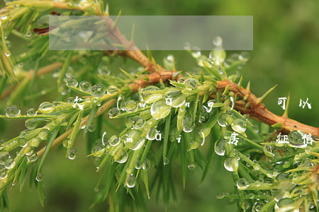 欠網(wǎng)貸可以過(guò)征信買(mǎi)房嗎(征信有網(wǎng)貸逾期可以貸款買(mǎi)房嗎)
