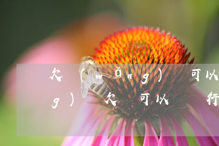 欠網(wǎng)貸可以開卡嗎(網(wǎng)貸欠錢可以辦銀行卡嗎)