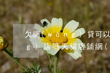 欠網(wǎng)貸可以開天貓網(wǎng)店嗎(天貓店鋪網(wǎng)商貸逾期還了多久可以申請(qǐng)貸款)