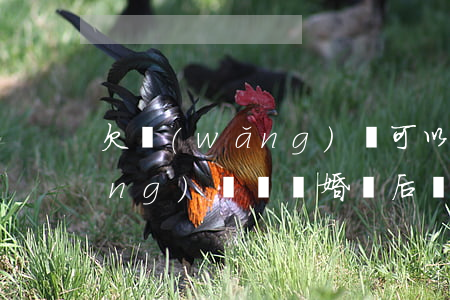 欠網(wǎng)貸可以領證嗎(欠網(wǎng)貸領結婚證后會找到配偶嗎)