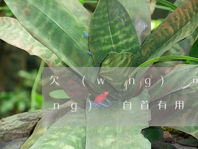 欠網(wǎng)貸可可以自首(欠網(wǎng)貸自首有用嗎)