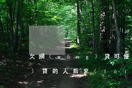 欠網(wǎng)貸可慢慢(欠網(wǎng)貸的人后來(lái)都怎么了)