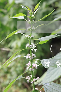 欠網(wǎng)貸司法局聯(lián)系村委(欠網(wǎng)貸司法所打電話來)